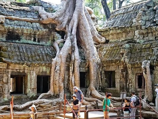 Khám phá đền Ta Prohm Campuchia, ngôi đền bí ẩn với những rễ cây kì dị