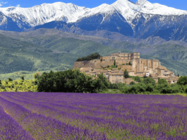 Đắm mình trước vẻ đẹp thơ mộng đầy lãng mạn của vùng Provence nước Pháp